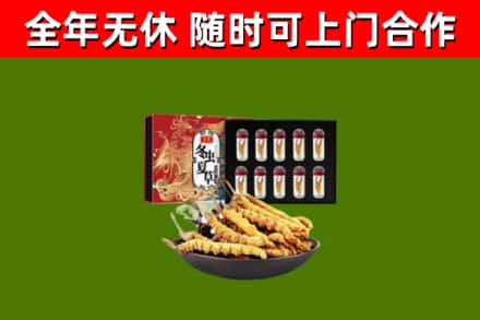 丰市烟酒回收冬虫夏草礼盒.jpg